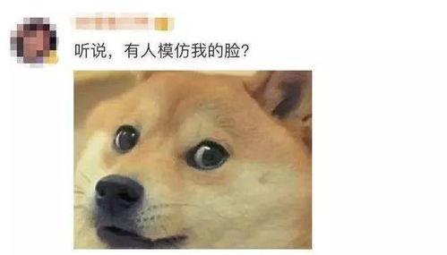 微信里吃瓜表情什么意思,网络社交中的趣味解读