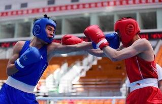 吃瓜娱乐拳击比赛