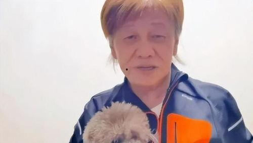 娱乐圈吃瓜解说一口气看完