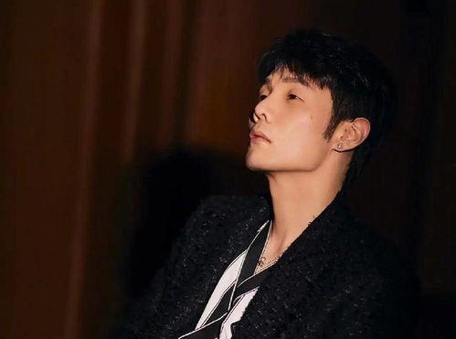 中国娱乐圈吃瓜男星小说