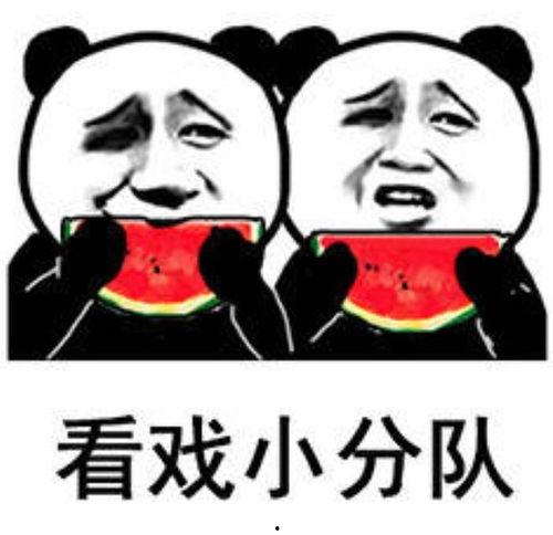 娱乐圈吃瓜壁纸动态高清